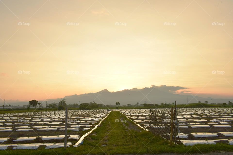 Road trip in the evening