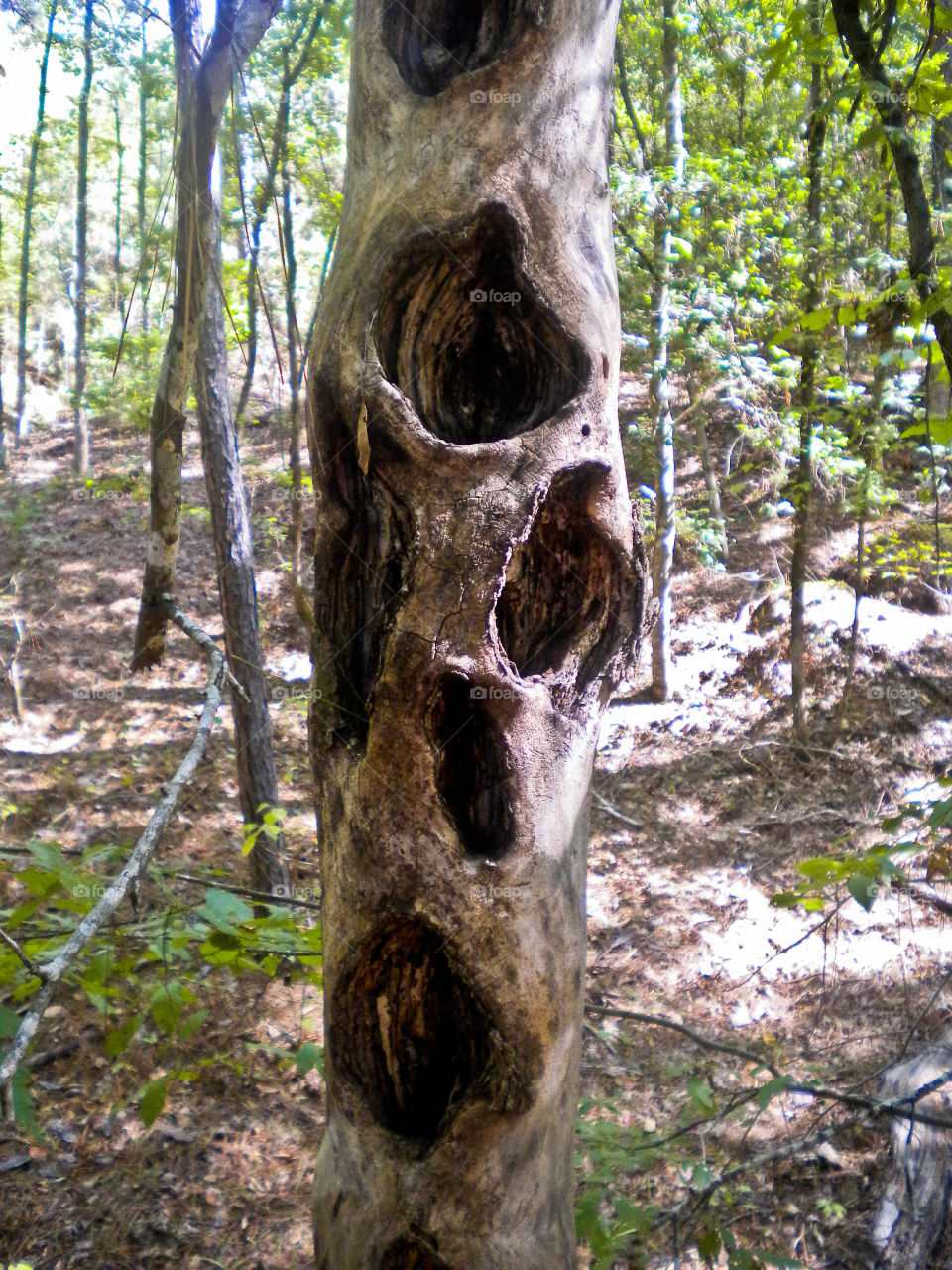 What to say about that....