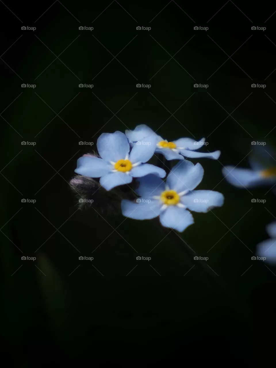 💙