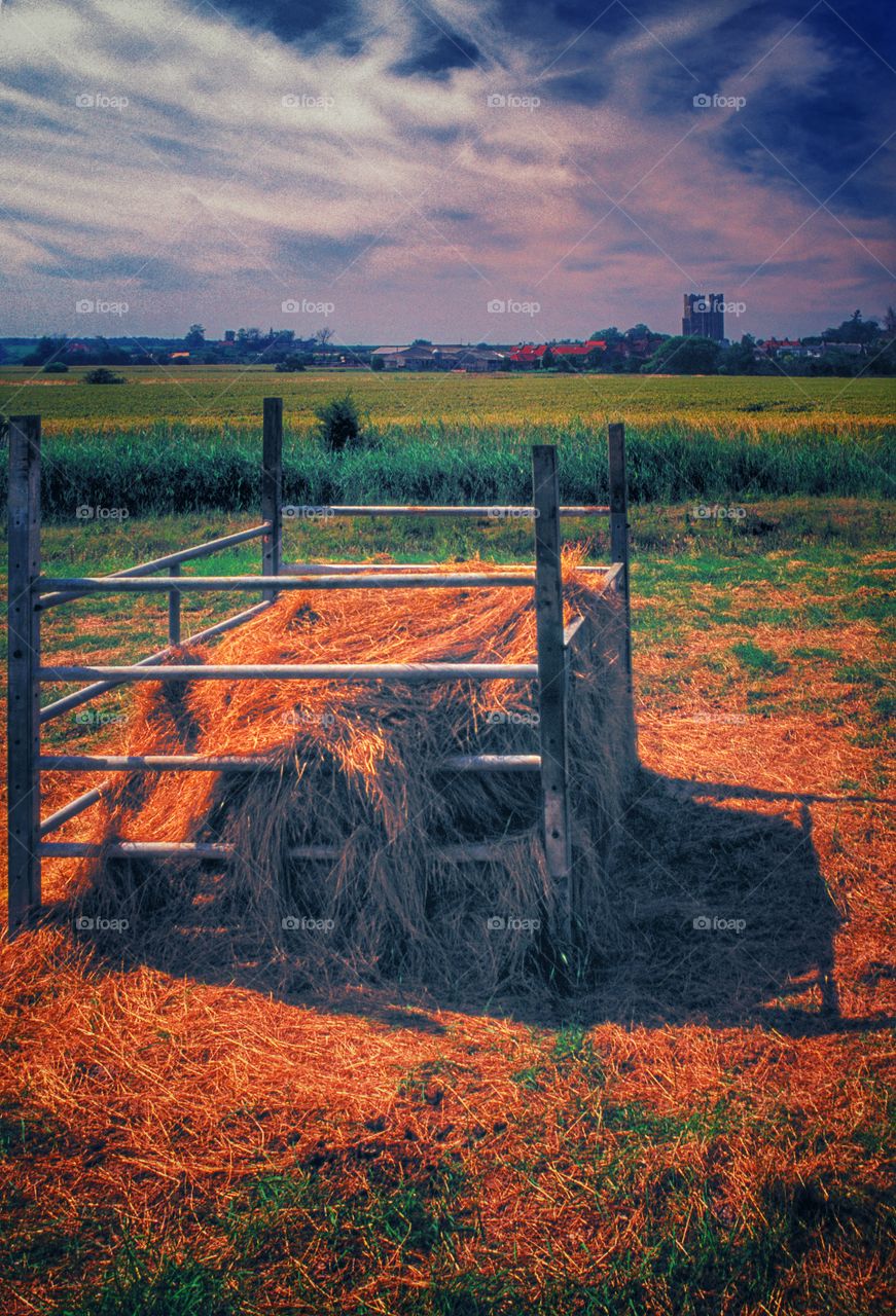 Hay. Farm