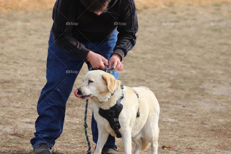 Man and his dog