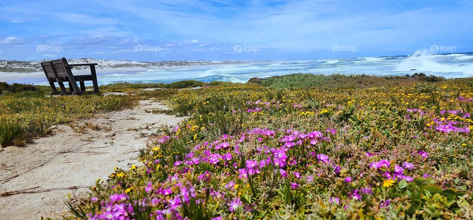 Quiet place to just sit and relax and enjoy the ocean view in the West Coast National Park in South Africa