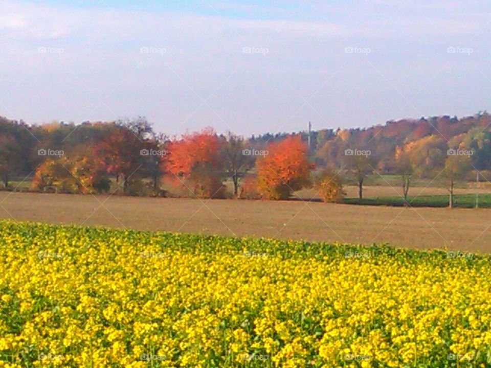 colors of nature