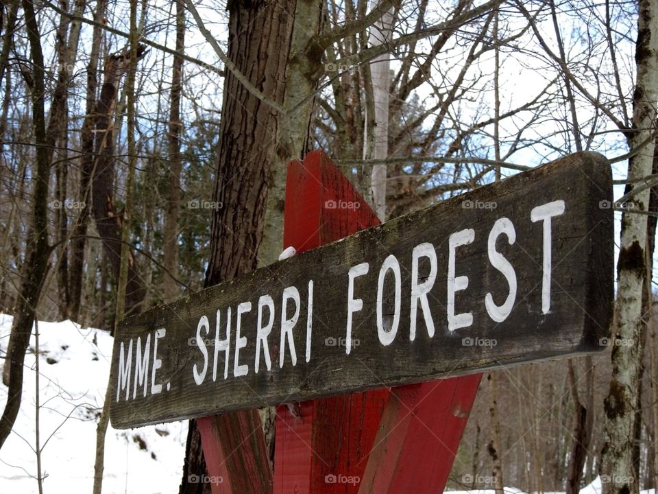 MME. Sherri Forest 
