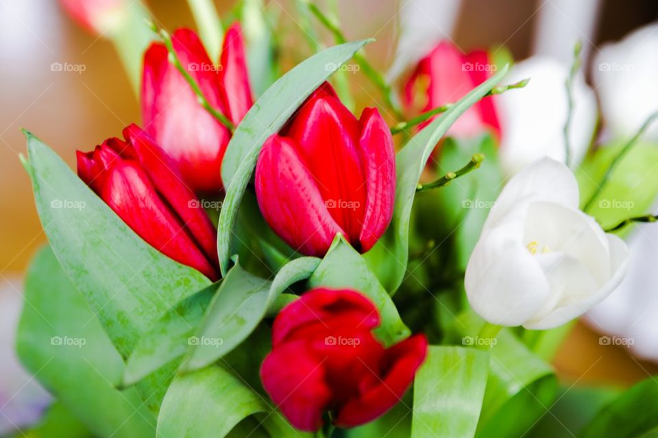 Giving red tulips on mothersday