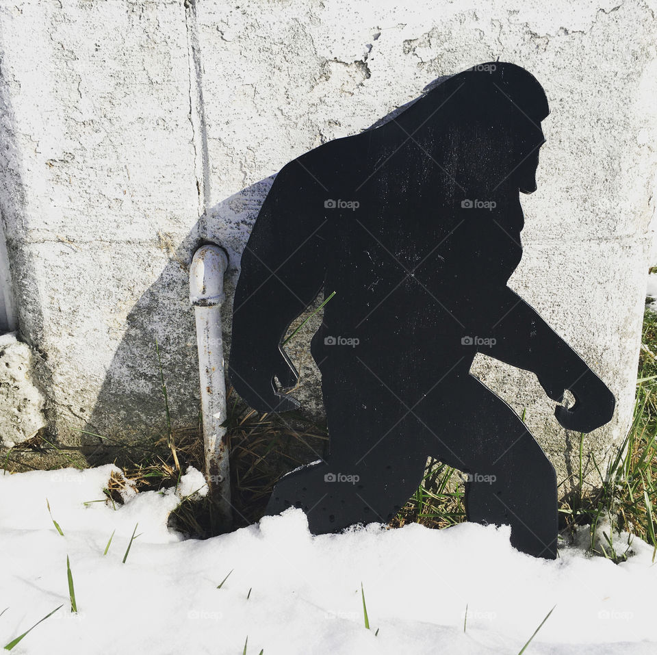 Not a whole lot fascinates me more than a cryptid does. Bigfoot is probably the most popular. 