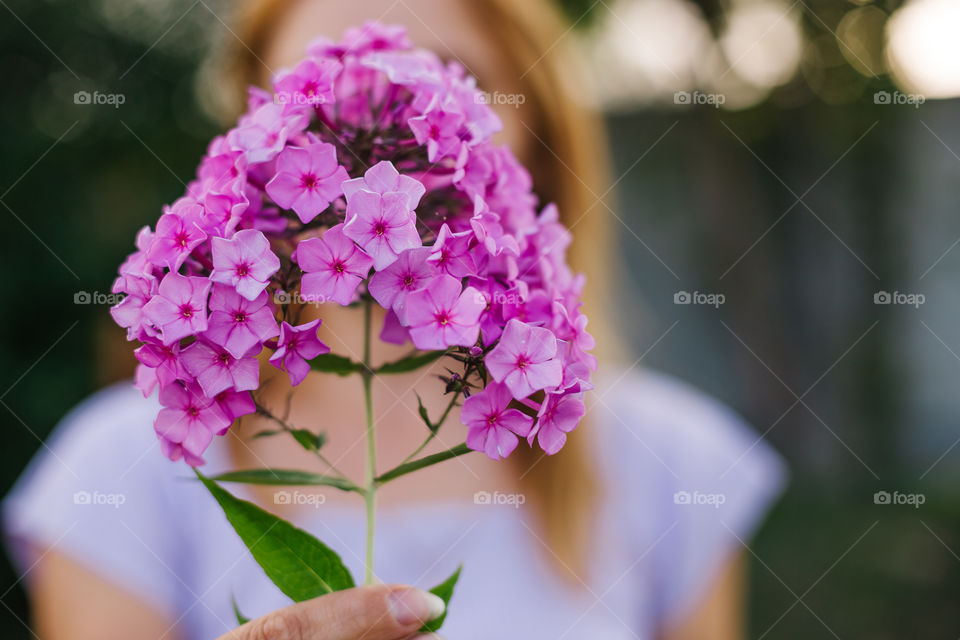 pink flower