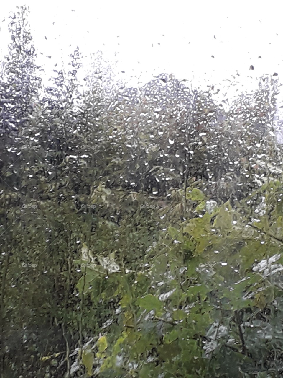 rain drops  on the window glass with garden in the background