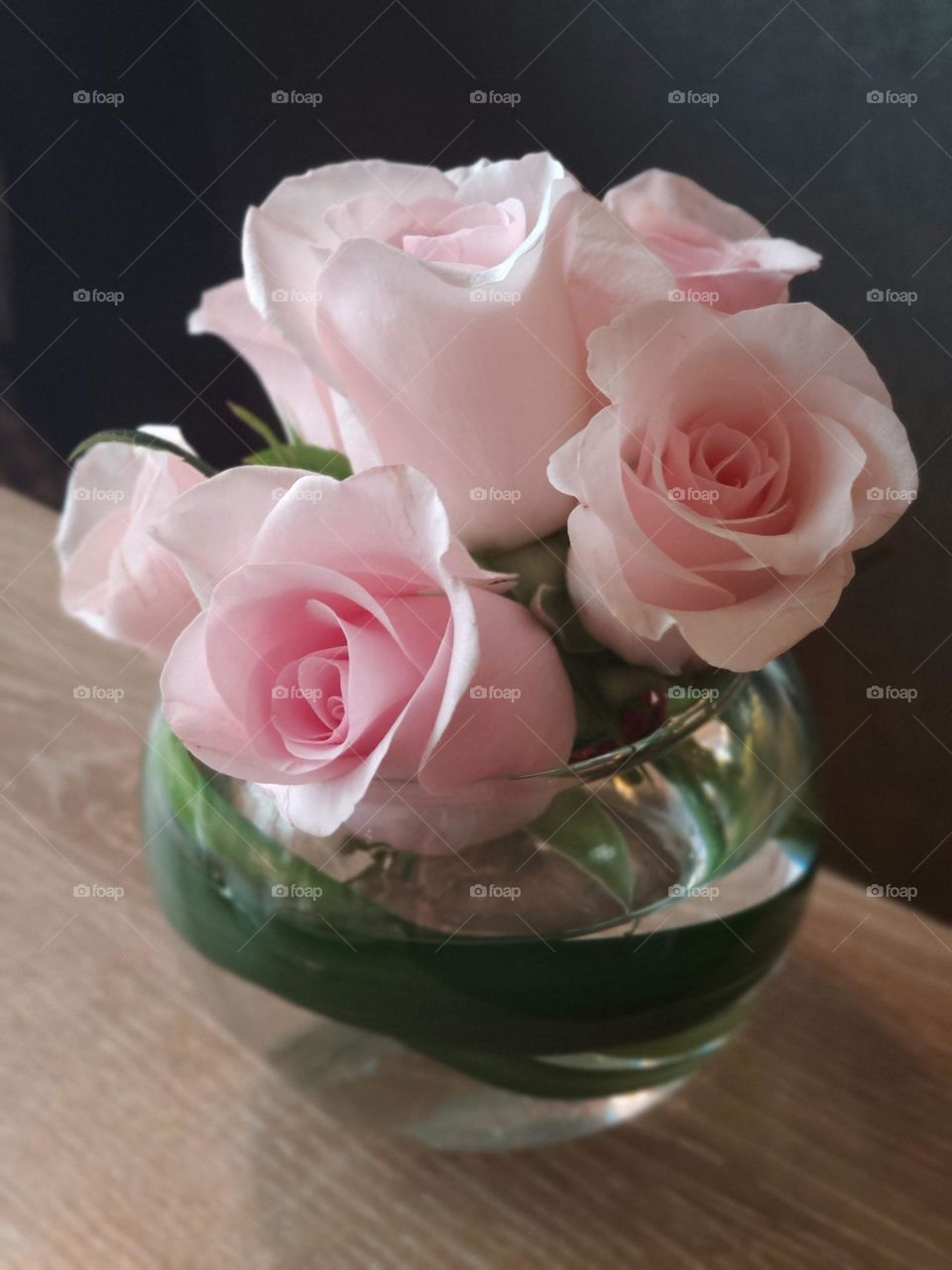 Barbie baby pink roses