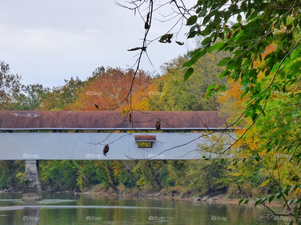 Covered bridge fall day