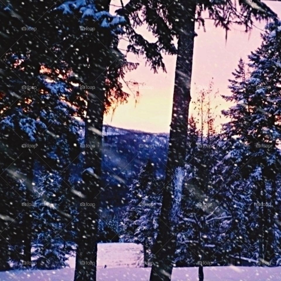 Winter sunrise in the valley