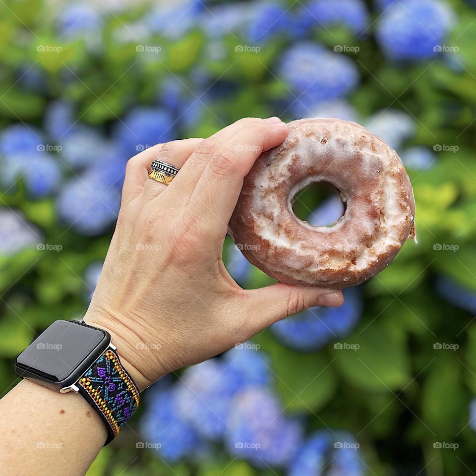 Donuts and hydrangeas, flowers and desserts, having breakfast outside with the flowers, delicious treats in the summertime 