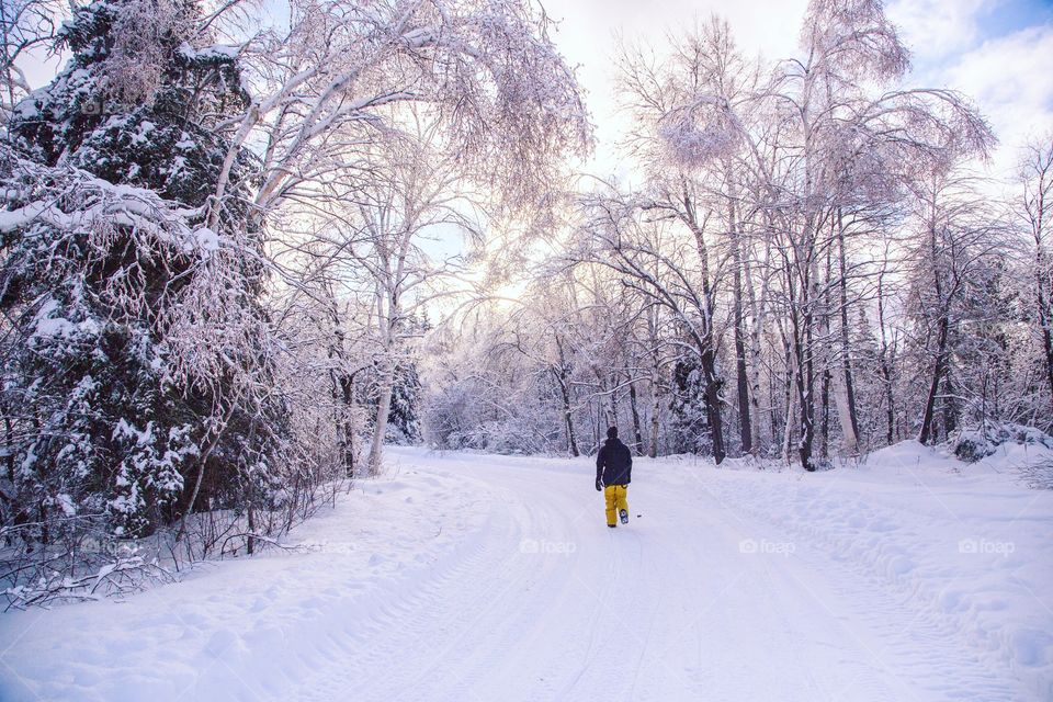 A young man walking through a snowy forest