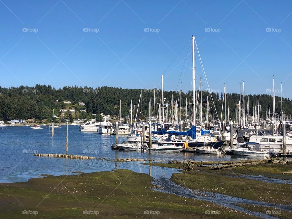 Boats in Gig Harbor Washington