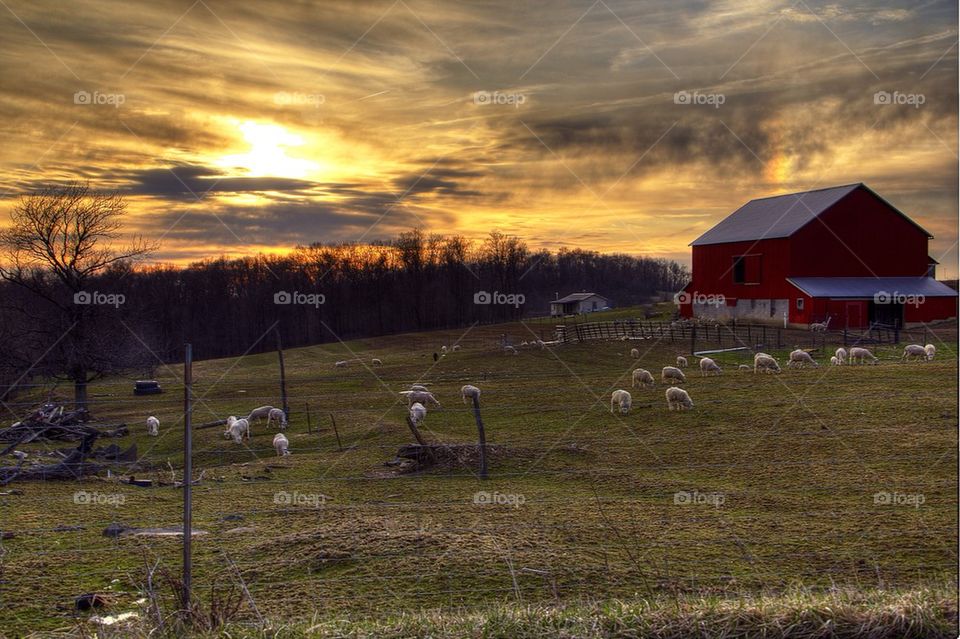 Old Farm With Warm Sunset