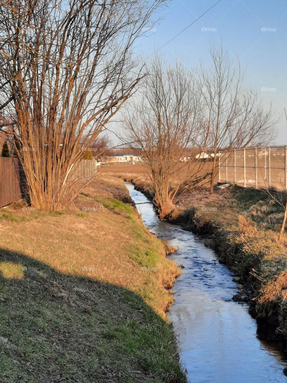 sunny day in early spring