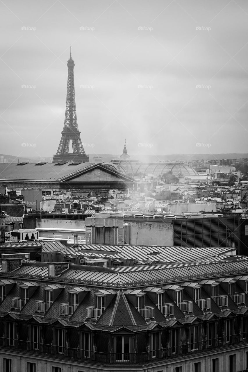 Paris in black and white 