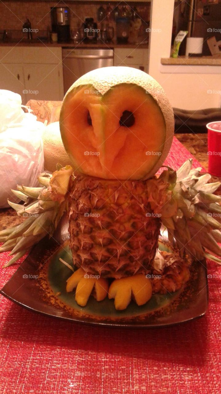 Food owl