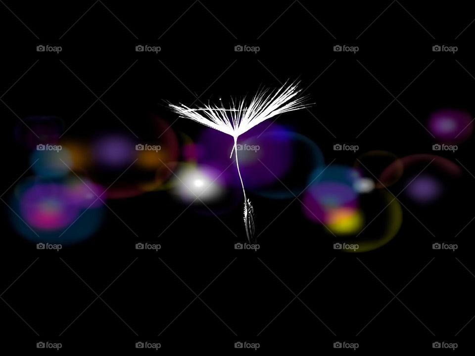 Abstract- floating seed with colorful bubble background in the dark.