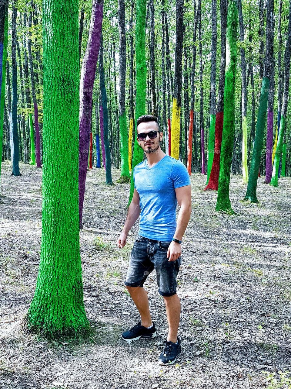 the colored forest