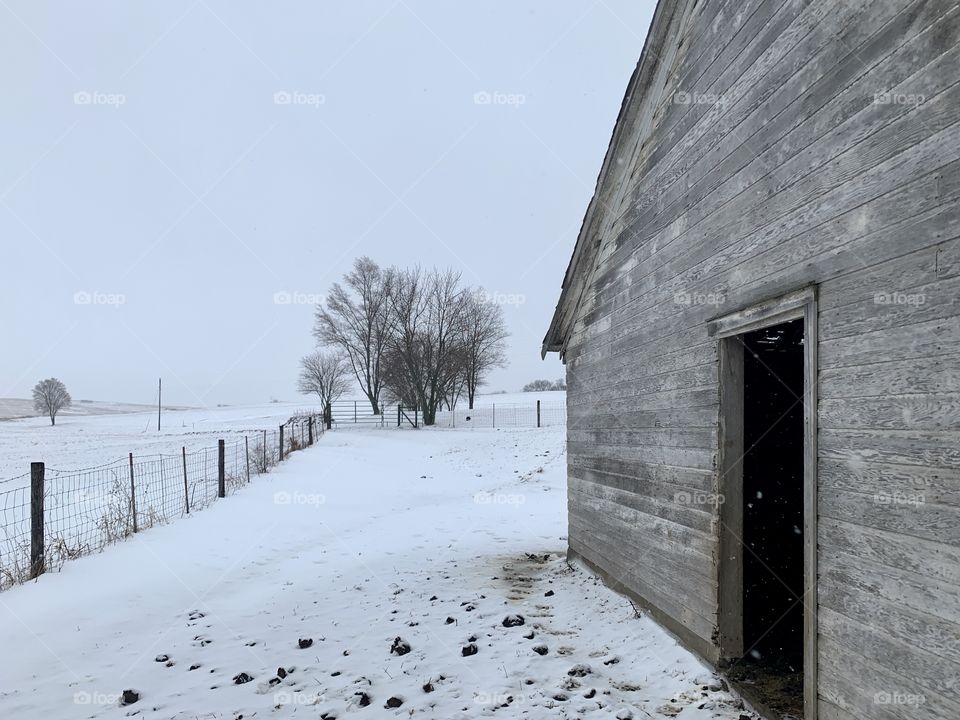 Angled view of a rustic, wooden, cattle shed in winter, wire fence and bare trees seen in the distance to a vanishing point on a snowy horizon