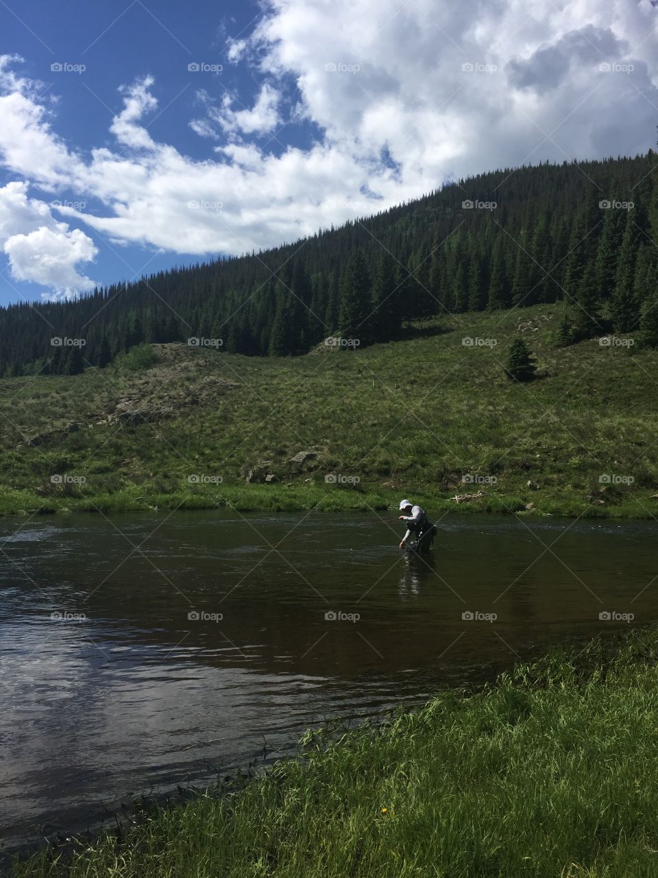 Fly fishing on the river 