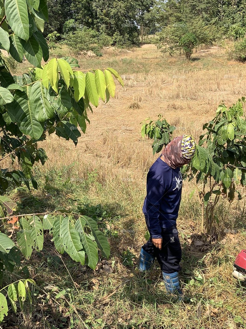 This is why I love my job, Countryside (Thailand)