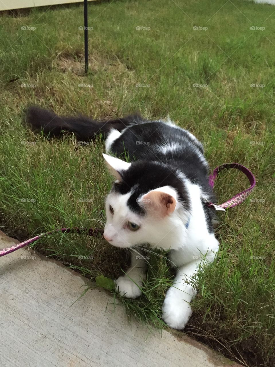Outside exploring 