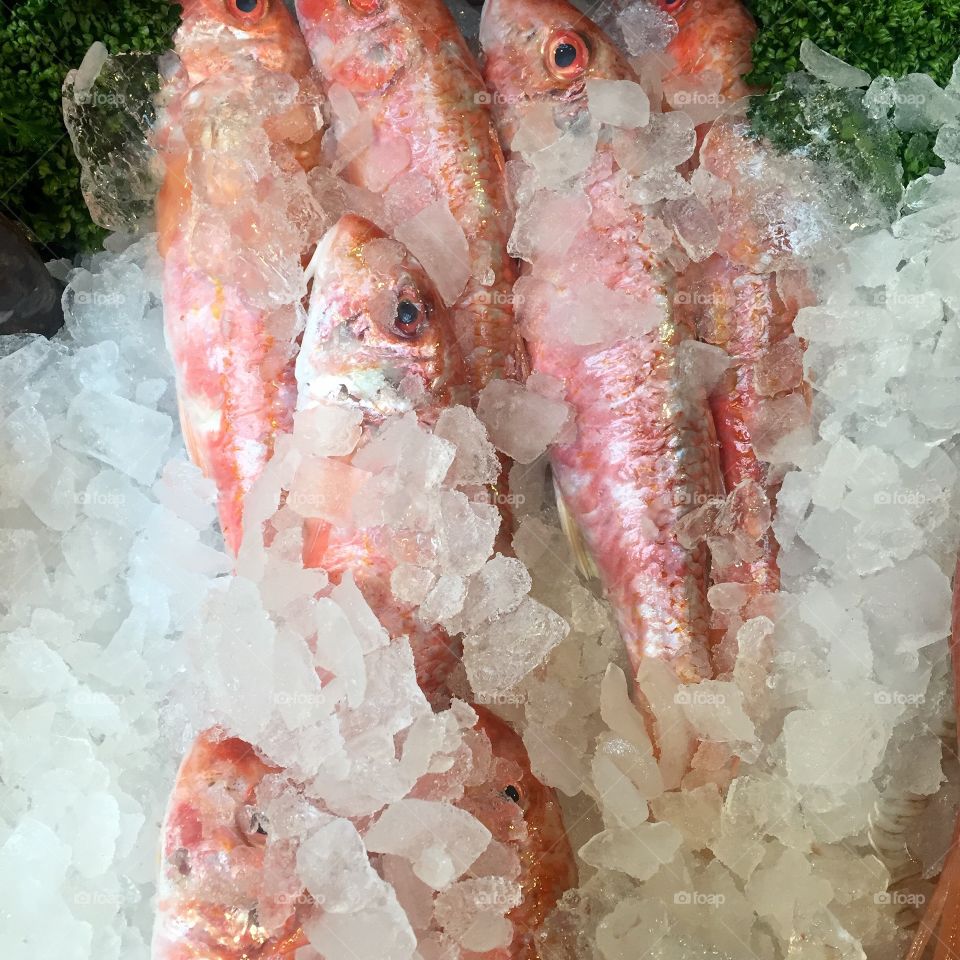 Fresh fresh fish, Market, London