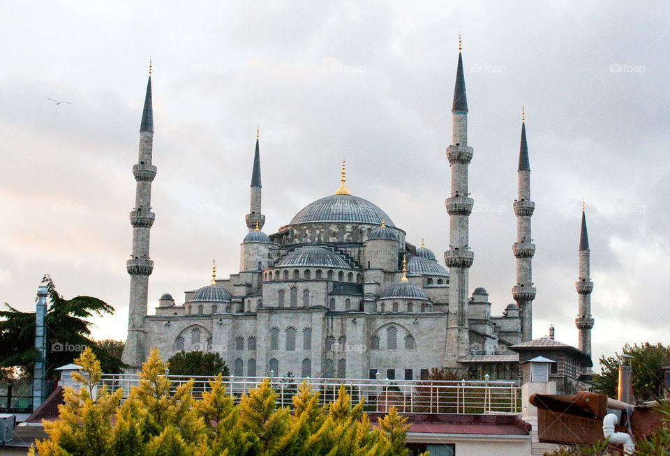 Blue mosque 