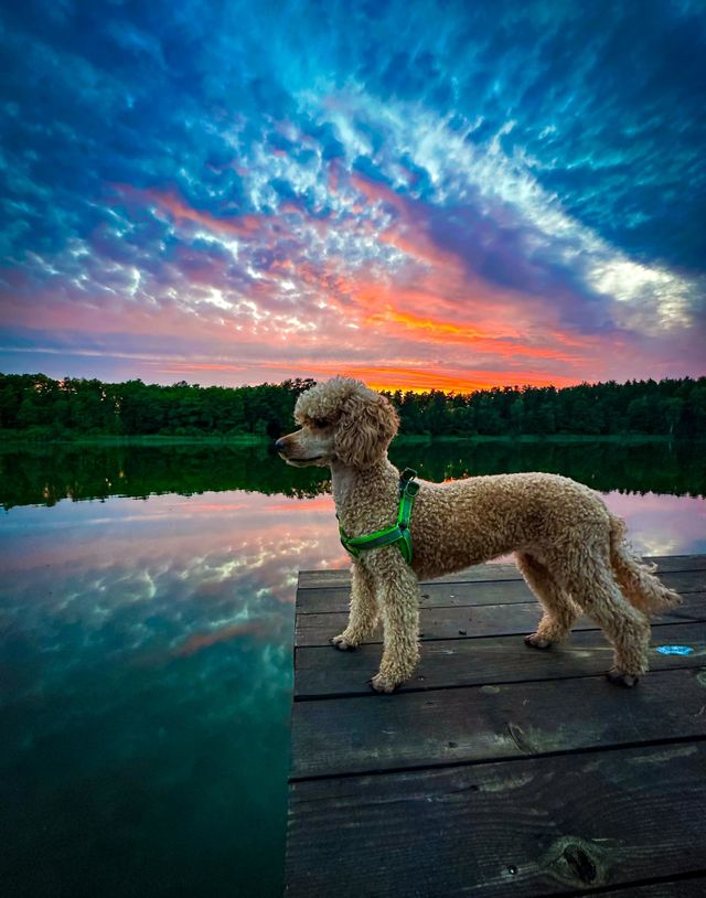 Amazing moments in nature ❤️
