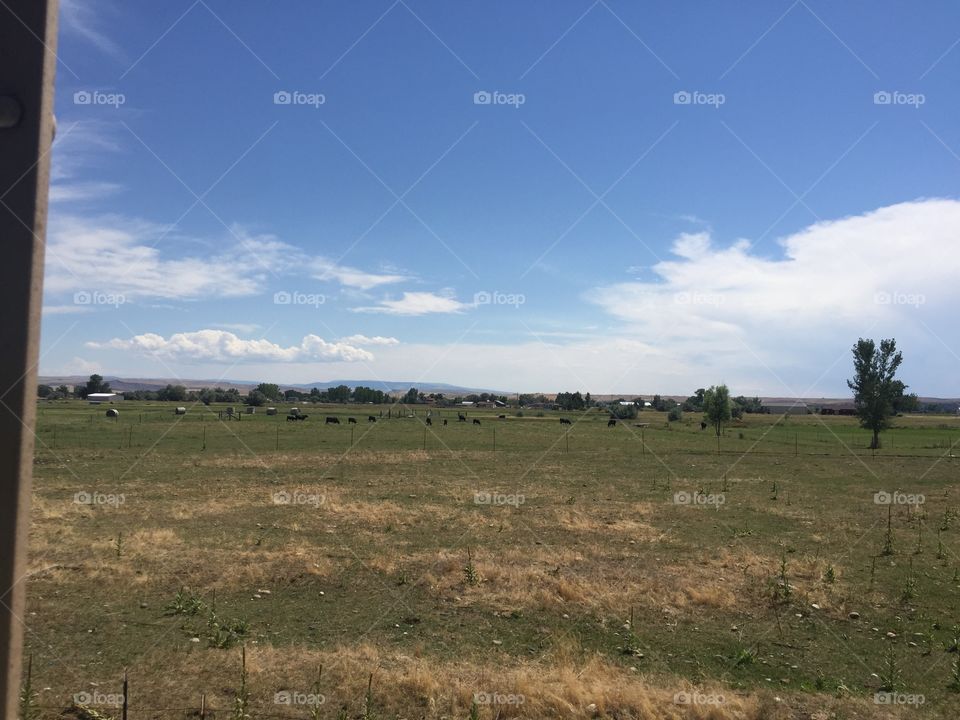 Landscape, Agriculture, Farm, Field, No Person