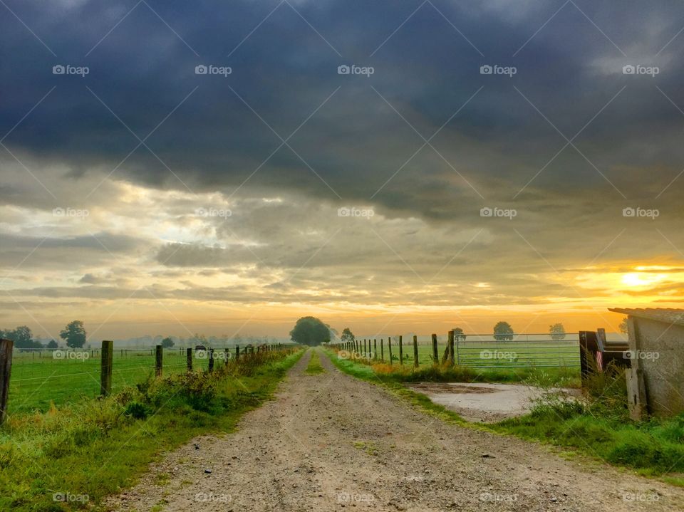 Dark Countryside Road