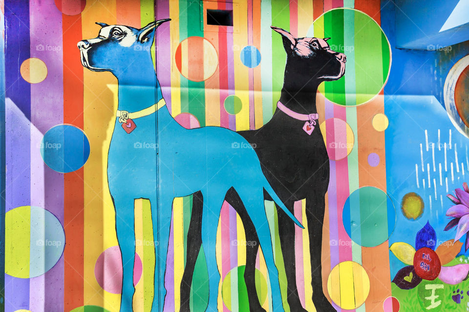 Doberman graffiti