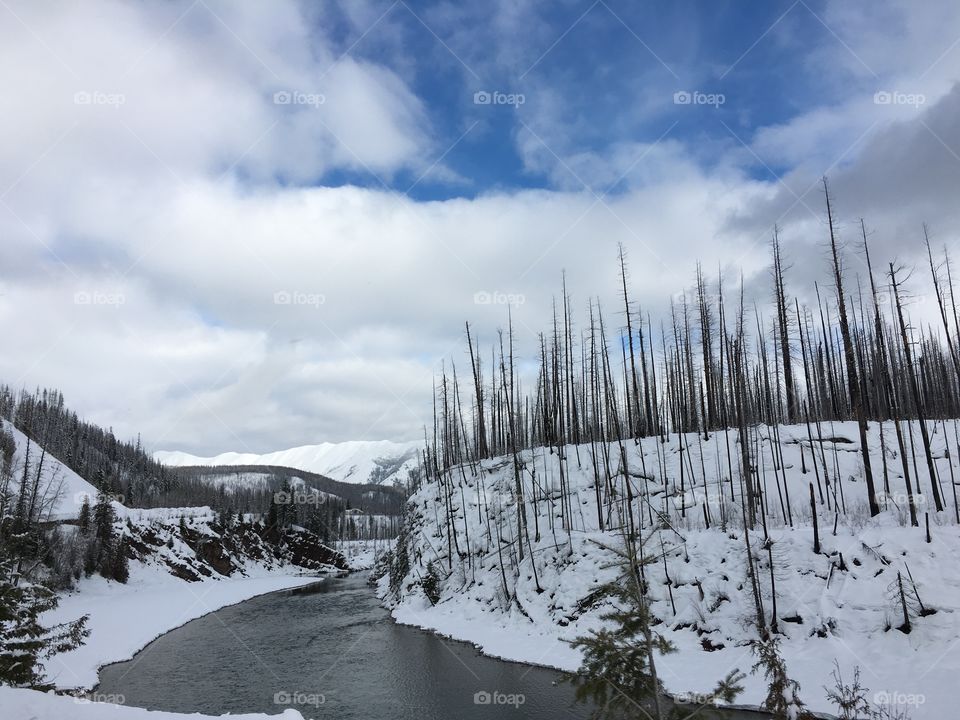 North Fork Flathead River 