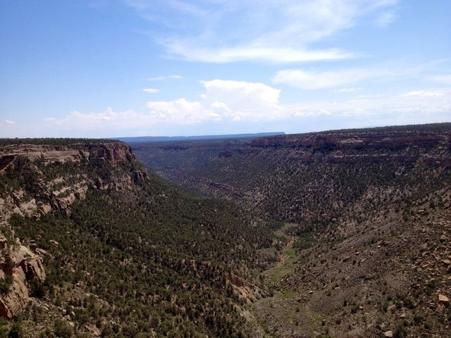 Desert Canyon
