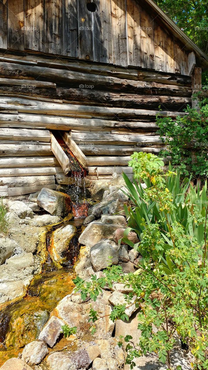 Natural mineral springs flowing into a trough of algae.