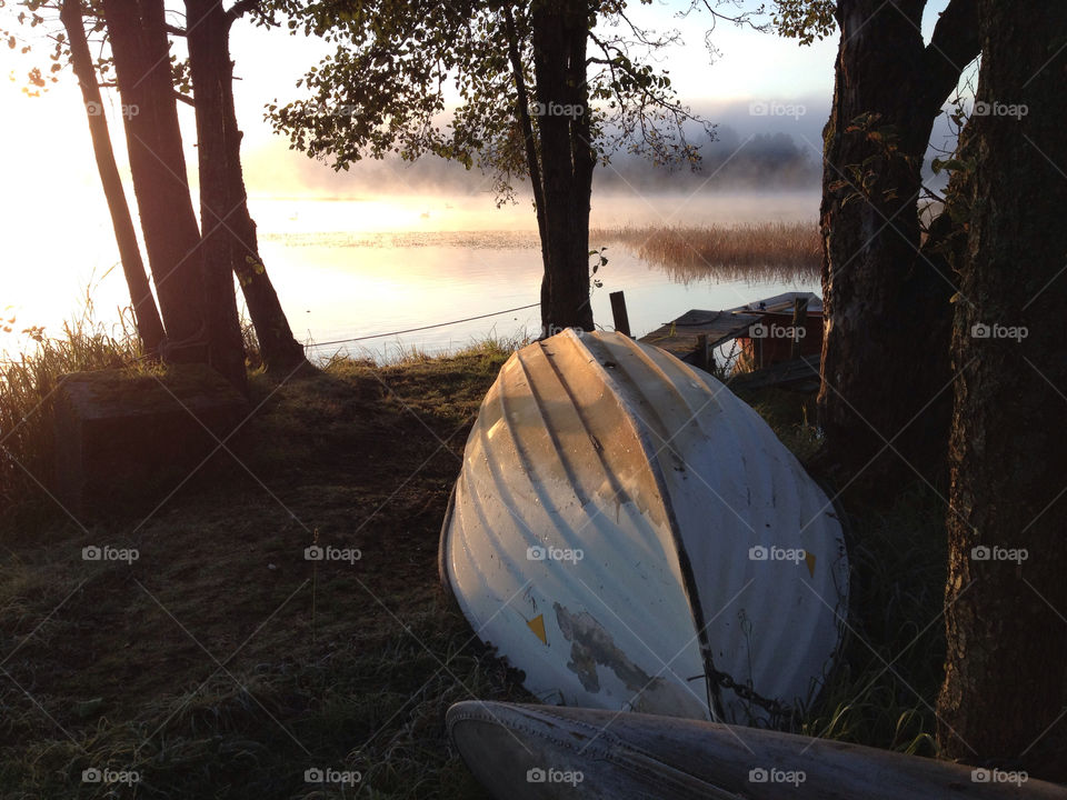 frost calm beam morning lake boat rowing autumn fall morning sunrise foggy trees mood by zebra