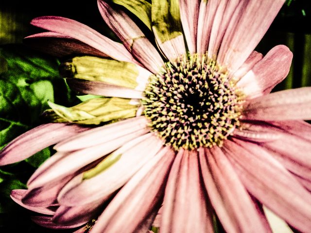 Spring always brings out the best in us. 