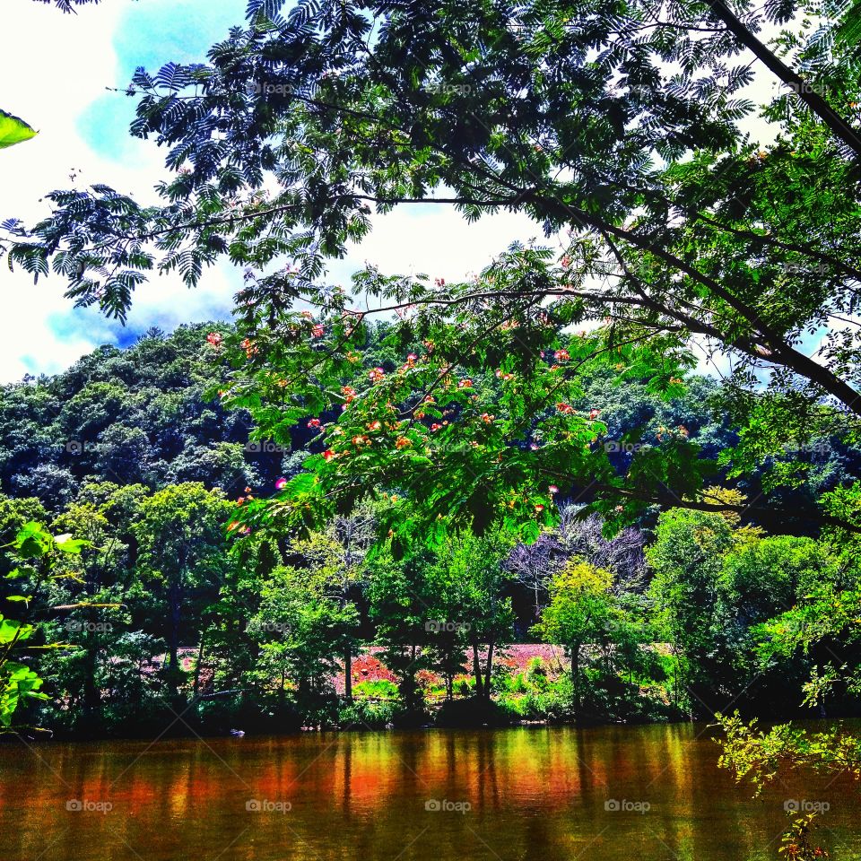 The Nolichucky River is one to be respected as well as admired. So much to do in this ideal part of Northeast TN, right off the Appalachian trail.