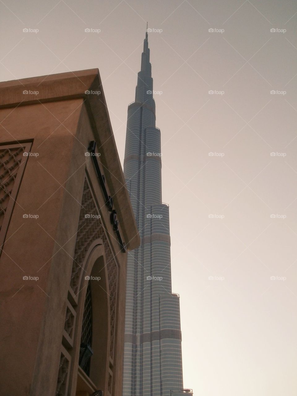 come in all shapes and sizes