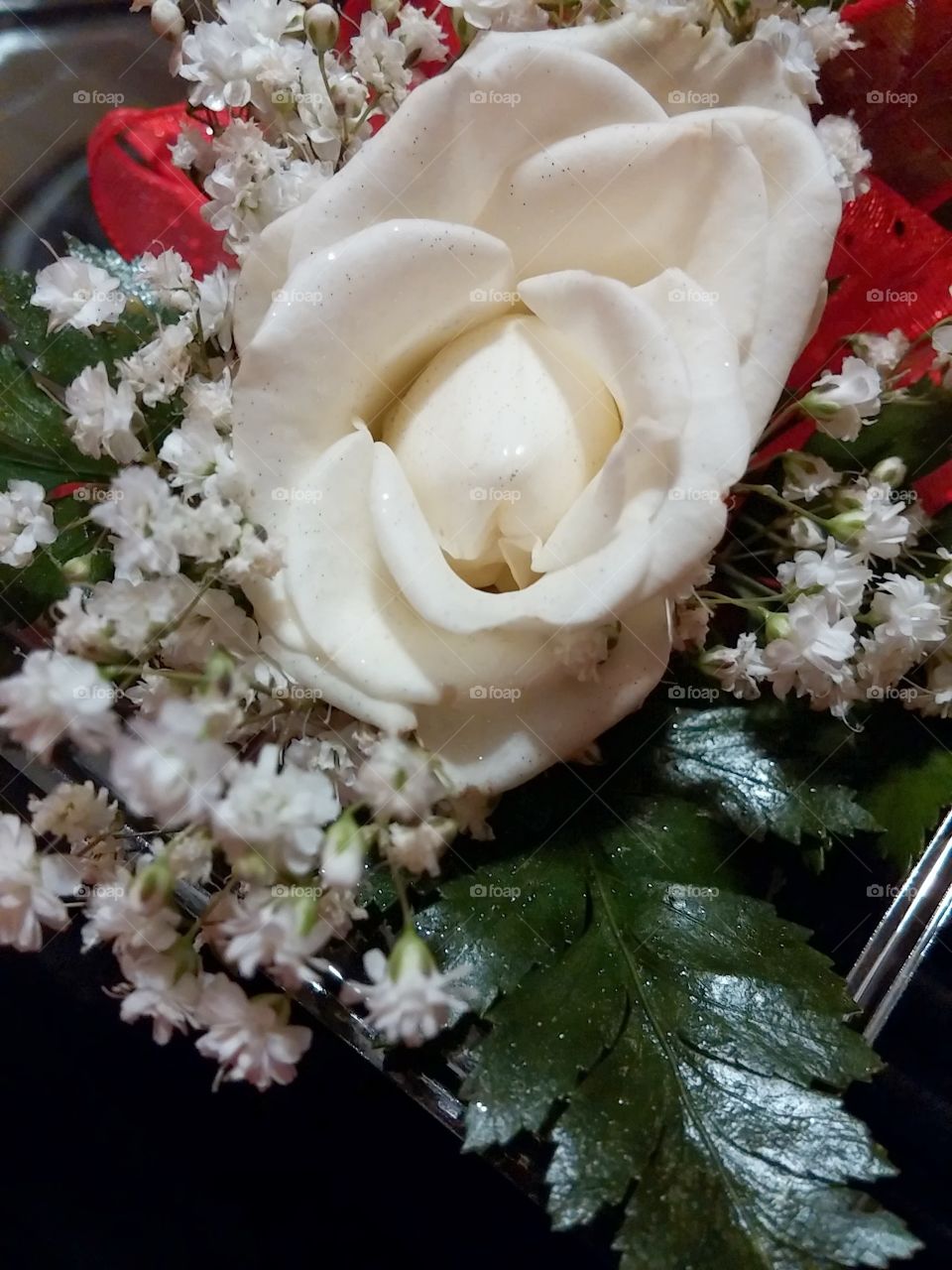 white rose corsage
