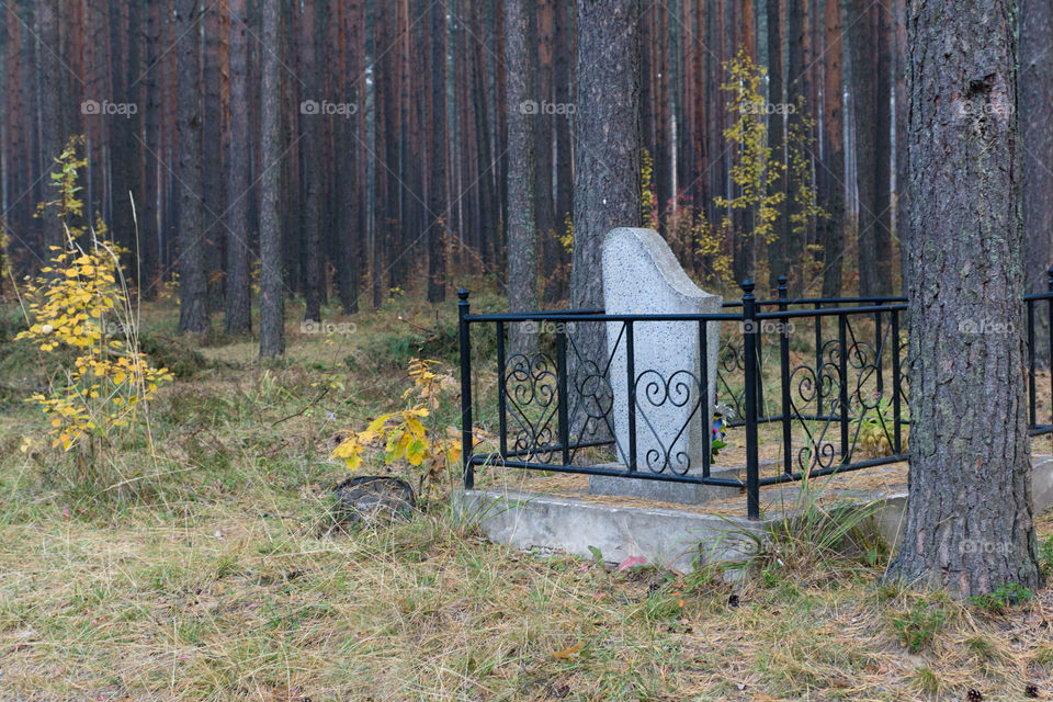 Tomb in forest