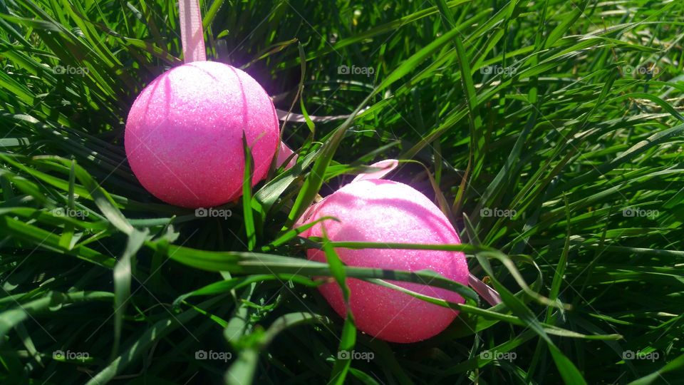 Pink ball on green grass