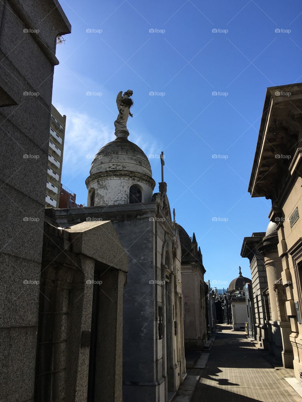 Recoleta cemetery. Buenos Aries. Argentina 