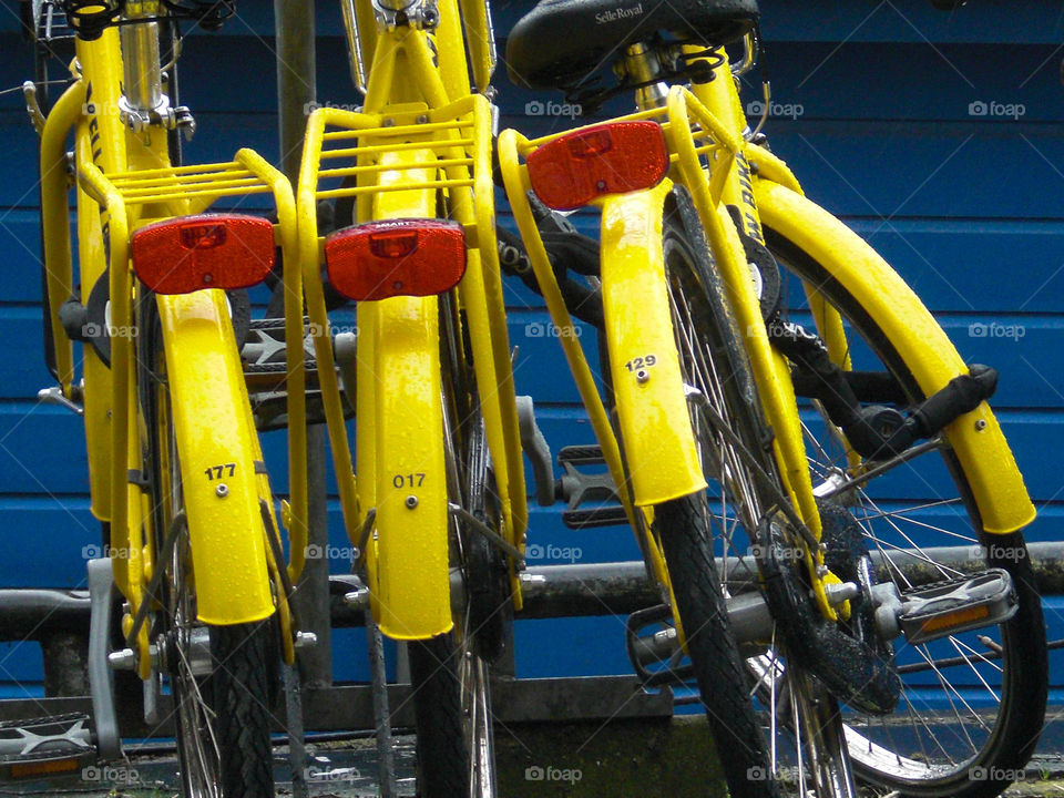 Three yellow bikes on a blue background