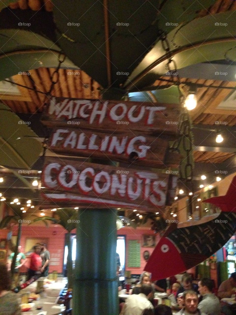 Sign falling coconuts