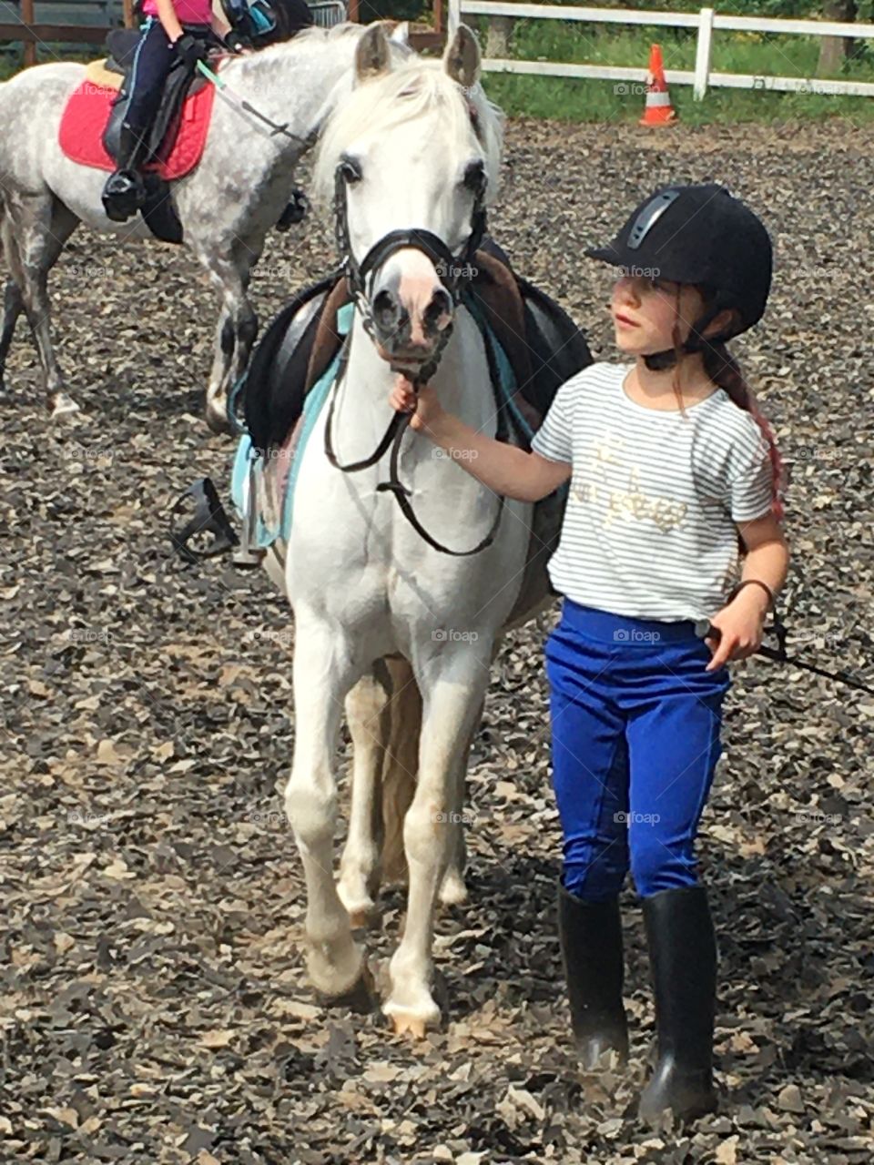 pony walks out of the box excited