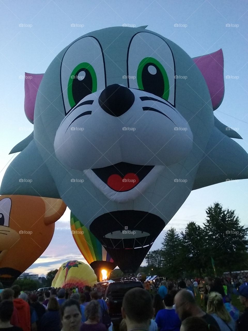 Tom cat hot-air balloon