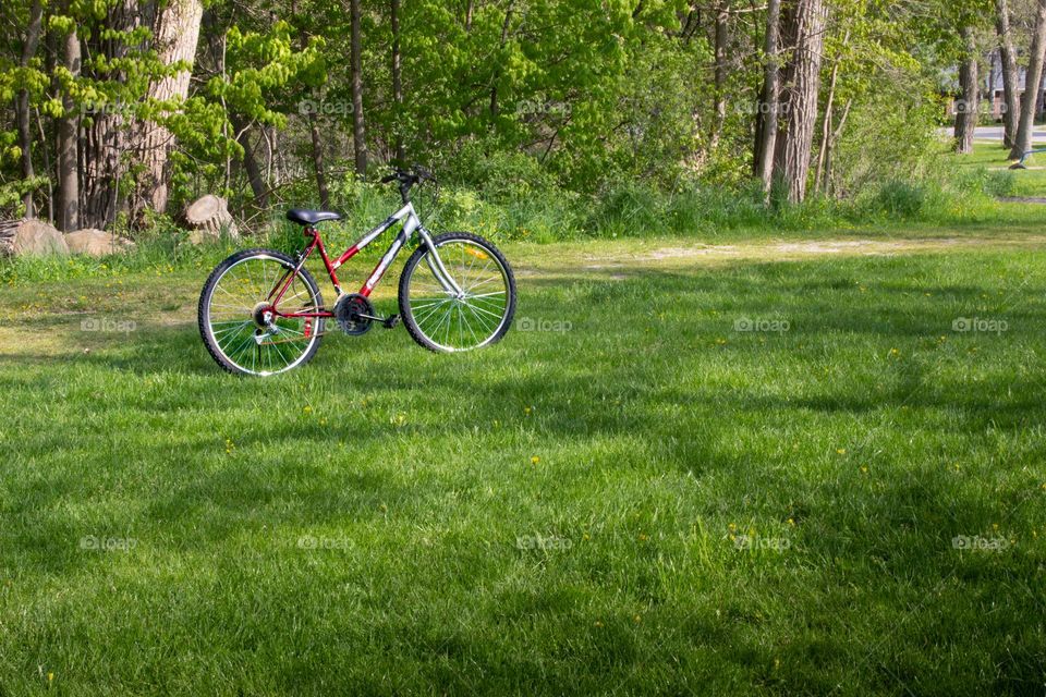 Lonely bicycle standing up in the grass off the path in a park.